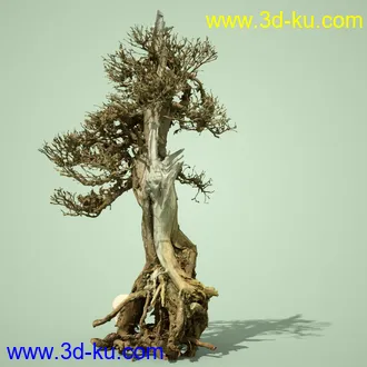 3D打印模型4 Dead Bonsai Trees的图片
