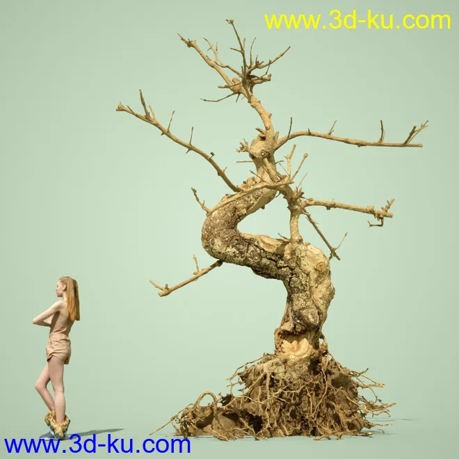 4 Dead Bonsai Trees模型的图片14