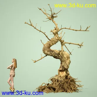 3D打印模型4 Dead Bonsai Trees的图片