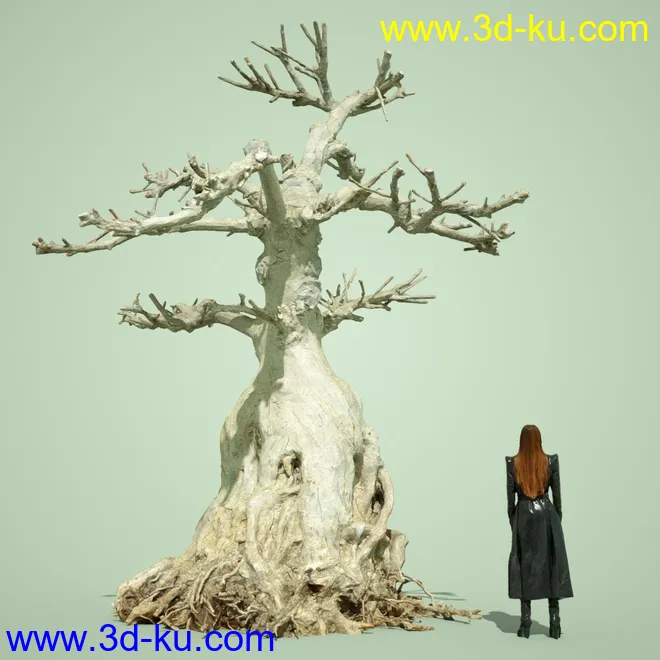 4 Dead Bonsai Trees模型的图片15