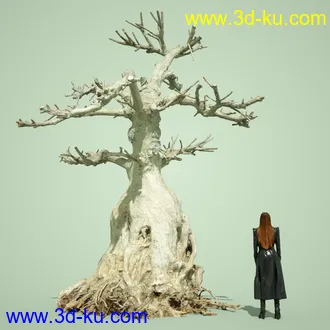 3D打印模型4 Dead Bonsai Trees的图片