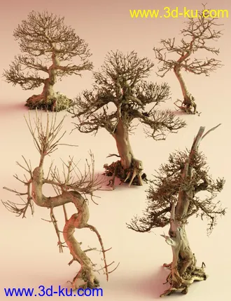 3D打印模型5 Dead Bonsai Trees Volume 2的图片