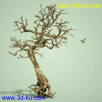 3D打印模型5 Dead Bonsai Trees Volume 2的图片