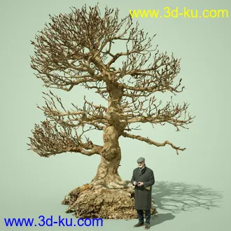 3D打印模型5 Dead Bonsai Trees Volume 2的图片