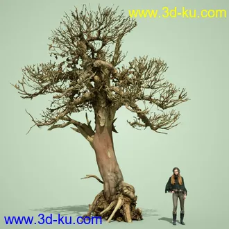 3D打印模型5 Dead Bonsai Trees Volume 2的图片