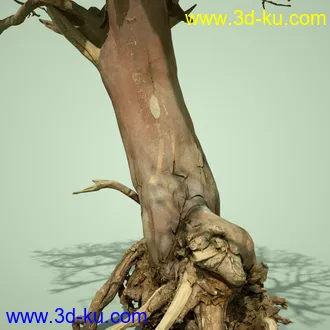3D打印模型5 Dead Bonsai Trees Volume 2的图片