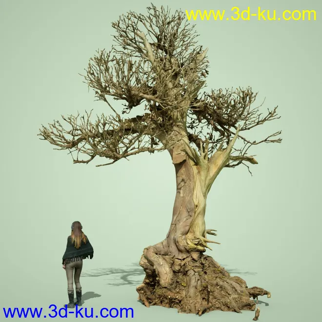 5 Dead Bonsai Trees Volume 2模型的图片12