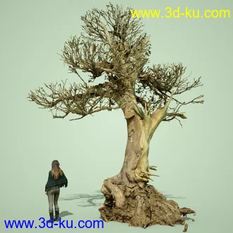 3D打印模型5 Dead Bonsai Trees Volume 2的图片