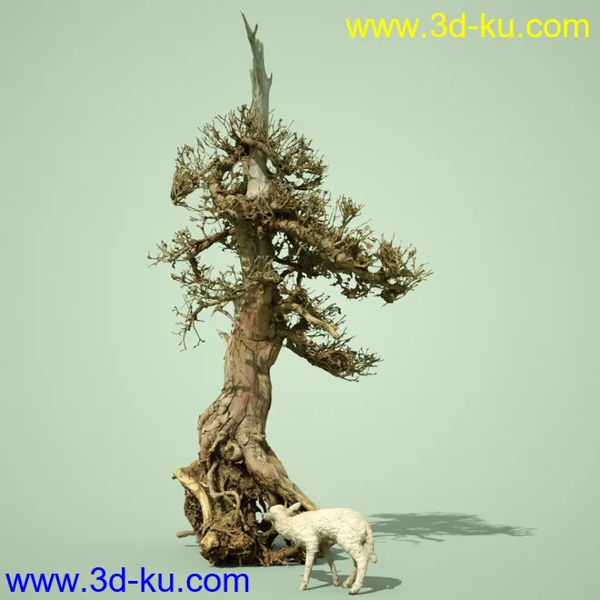 5 Dead Bonsai Trees Volume 2模型的图片14