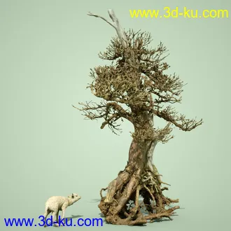 3D打印模型5 Dead Bonsai Trees Volume 2的图片