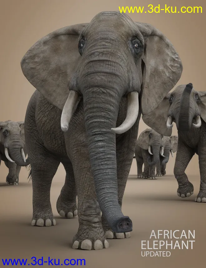 African Elephant Updated模型的图片1