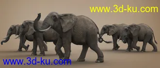 3D打印模型African Elephant Updated的图片