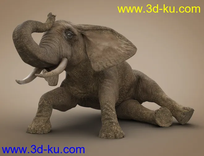 African Elephant Updated模型的图片3