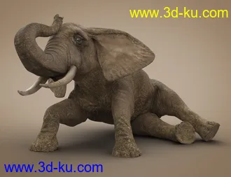3D打印模型African Elephant Updated的图片