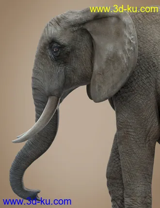 3D打印模型African Elephant Updated的图片