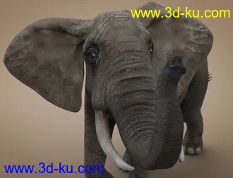 3D打印模型African Elephant Updated的图片