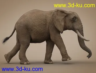 3D打印模型African Elephant Updated的图片