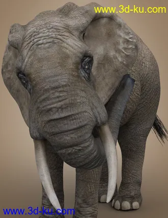 3D打印模型African Elephant Updated的图片