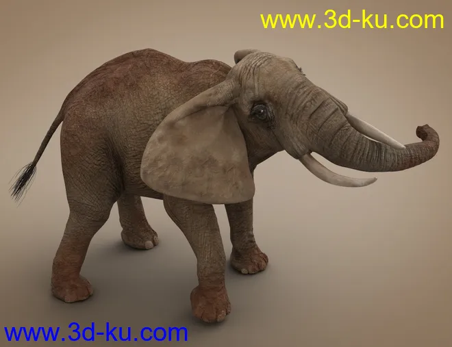 African Elephant Updated模型的图片9