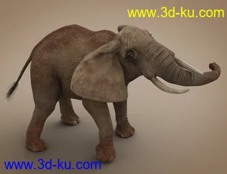3D打印模型African Elephant Updated的图片