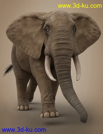 3D打印模型African Elephant Updated的图片