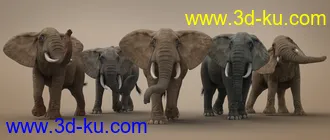 3D打印模型African Elephant Updated的图片