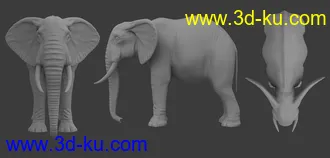 3D打印模型African Elephant Updated的图片