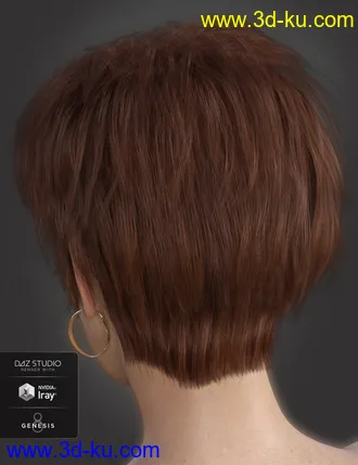 3D打印模型Bayla Hair for Genesis 8 Female(s)的图片