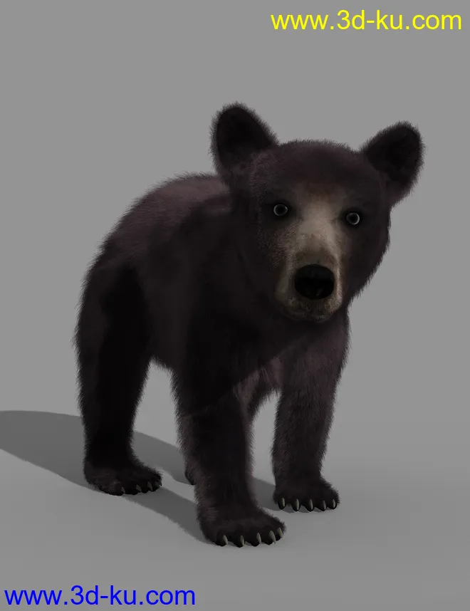Bear Cubs by AM模型的图片2