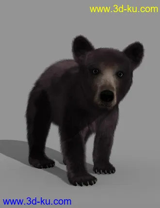 3D打印模型Bear Cubs by AM的图片