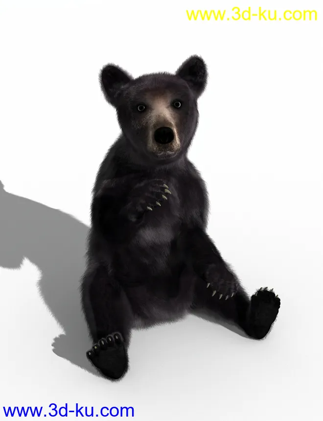 Bear Cubs by AM模型的图片3