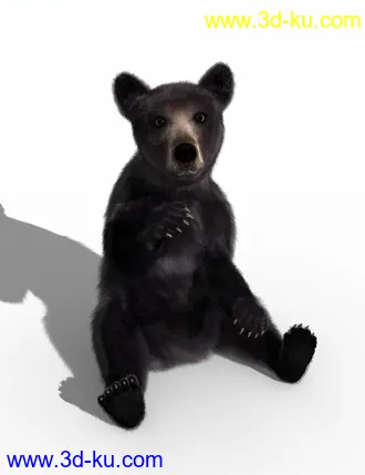 3D打印模型Bear Cubs by AM的图片