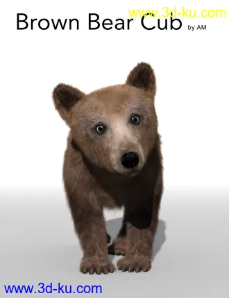 3D打印模型Bear Cubs by AM的图片