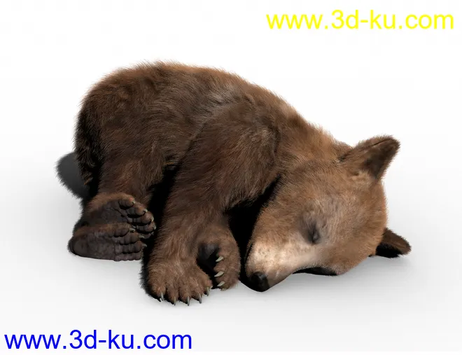 Bear Cubs by AM模型的图片5