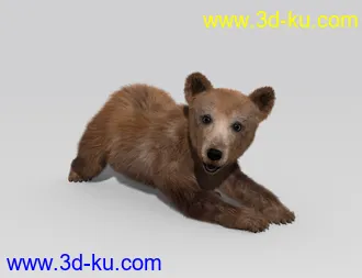 3D打印模型Bear Cubs by AM的图片