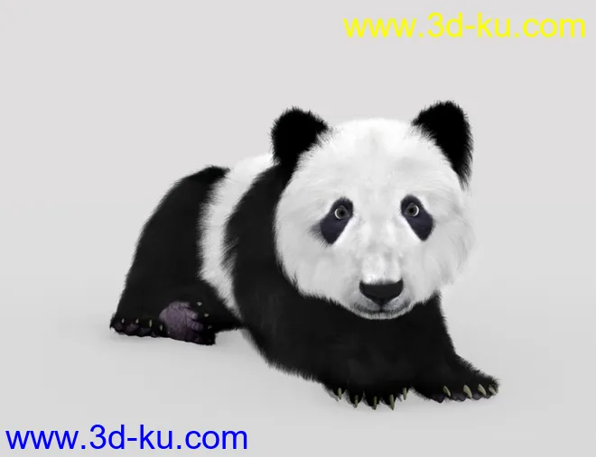 Bear Cubs by AM模型的图片8