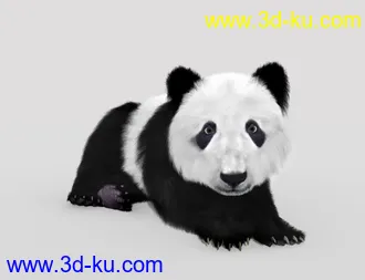 3D打印模型Bear Cubs by AM的图片