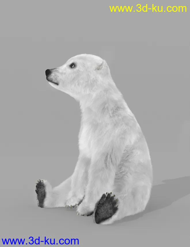 Bear Cubs by AM模型的图片11