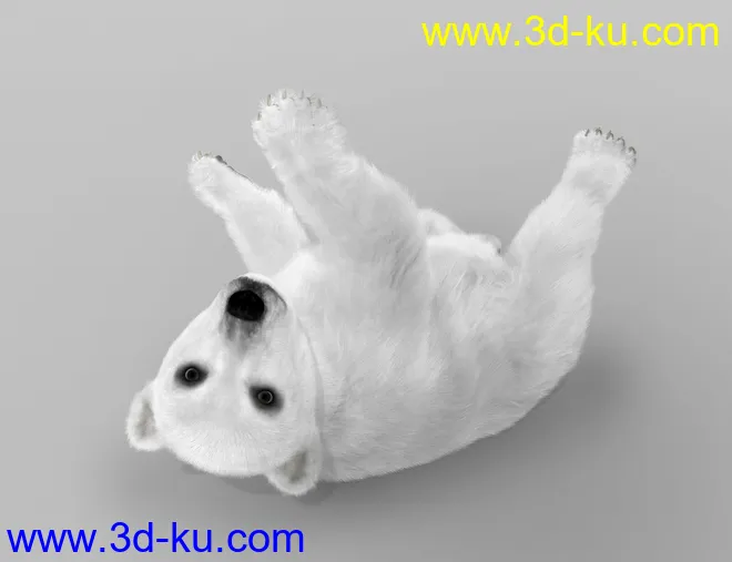 Bear Cubs by AM模型的图片12