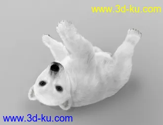 3D打印模型Bear Cubs by AM的图片