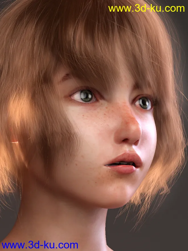 Bliss G8F-V8模型的图片1