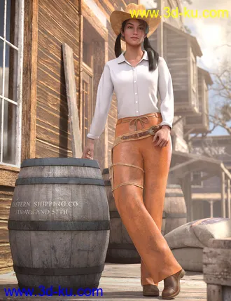 3D打印模型dForce Everyday Cowgirl Outfit for Genesis 8 Female(s)的图片