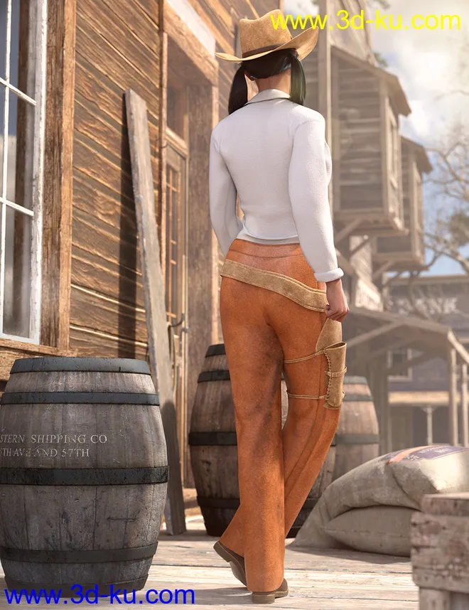 dForce Everyday Cowgirl Outfit for Genesis 8 Female(s)模型的图片3