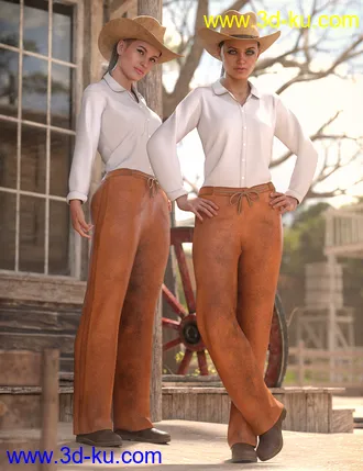 3D打印模型dForce Everyday Cowgirl Outfit for Genesis 8 Female(s)的图片