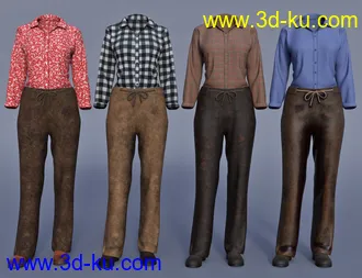 3D打印模型dForce Everyday Cowgirl Textures的图片