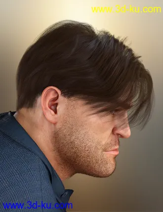 3D打印模型dForce Low Bang Hair for Genesis 8的图片