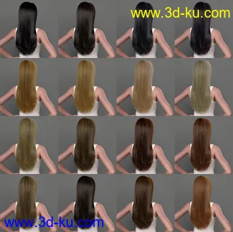 3D打印模型dForce Regina Hair for Genesis 8 Female(s)的图片