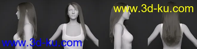 dForce Regina Hair for Genesis 8 Female(s)模型的图片18