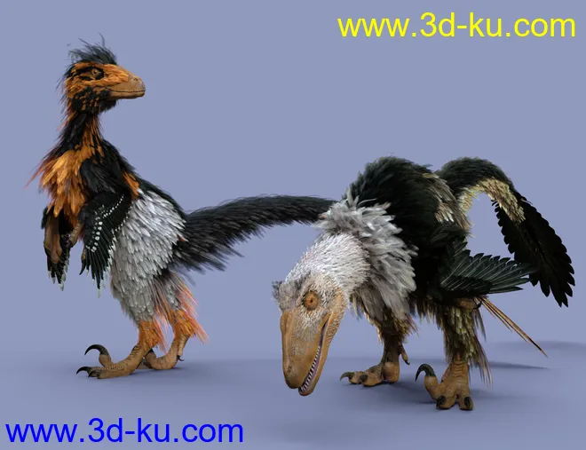 Dinosaurs Series - Feathers Extension for Deinonychus模型的图片13