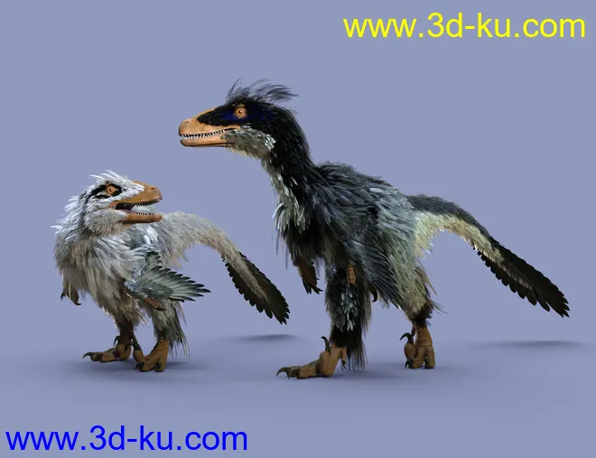 Dinosaurs Series - Feathers Extension for Deinonychus模型的图片14